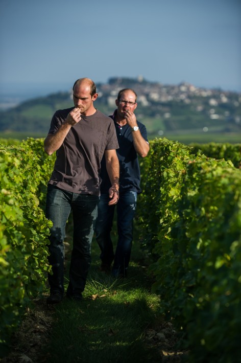 Domaine Matthias & Emile Roblin Vineyards