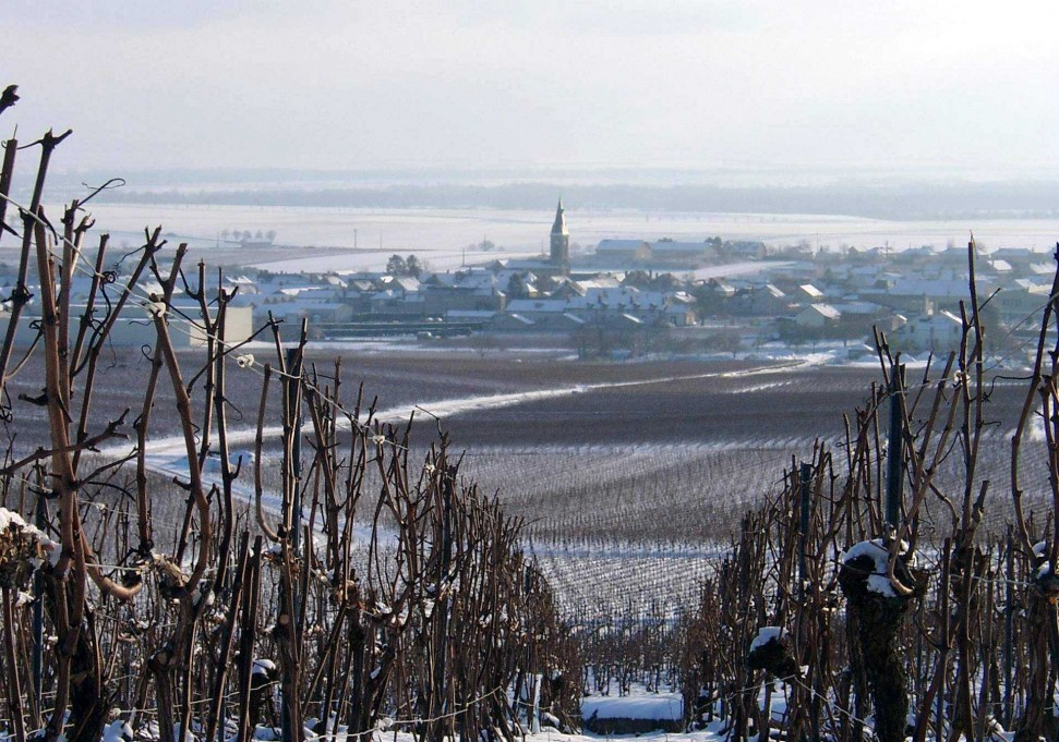 Champagne Barnaut's Bouzy in the snow