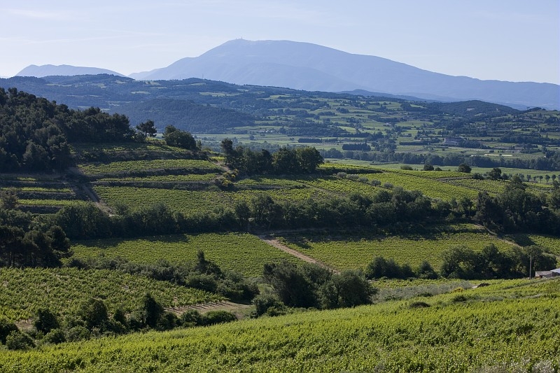 Pierredon_Cotes_du_Rhone_scenery