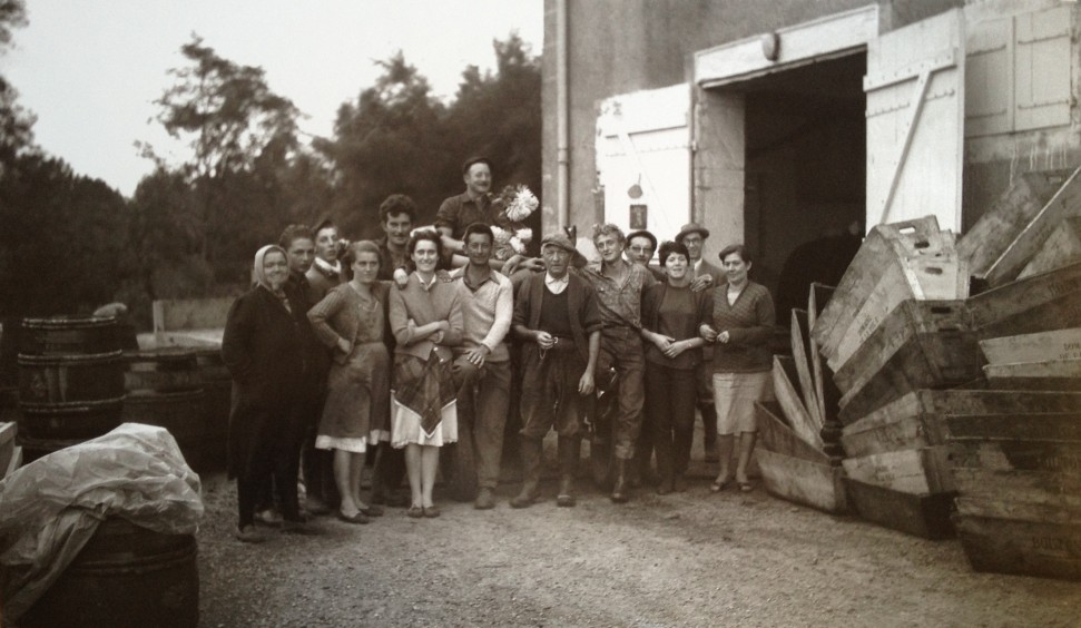 Domaine de la Folie harvest in 1960