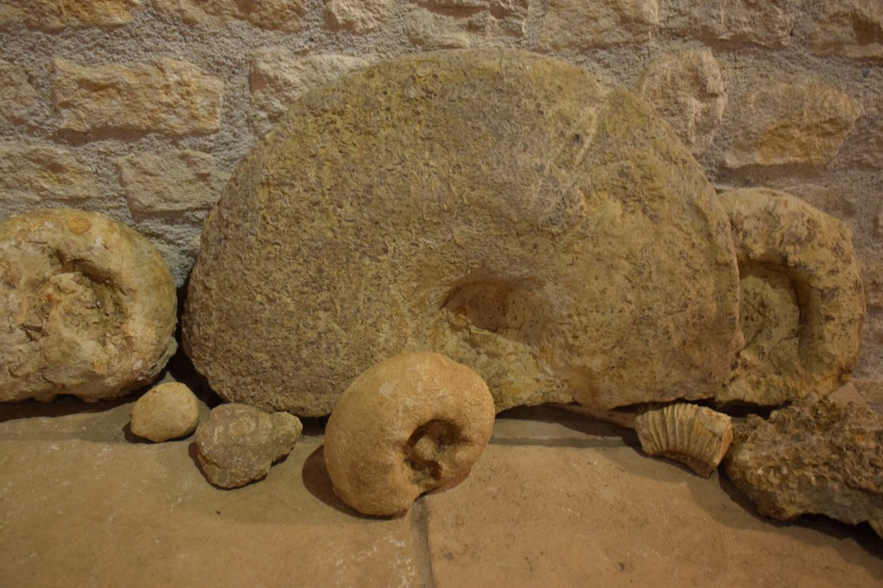 Domaine Matthias and Emile Roblin Les Ammonites