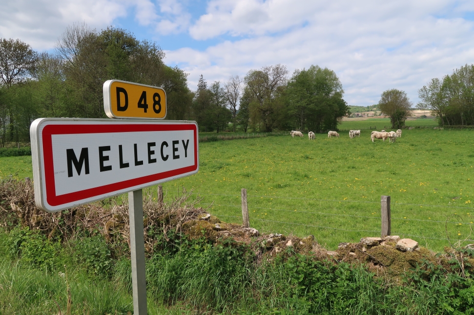 Domaine Meunier countryside