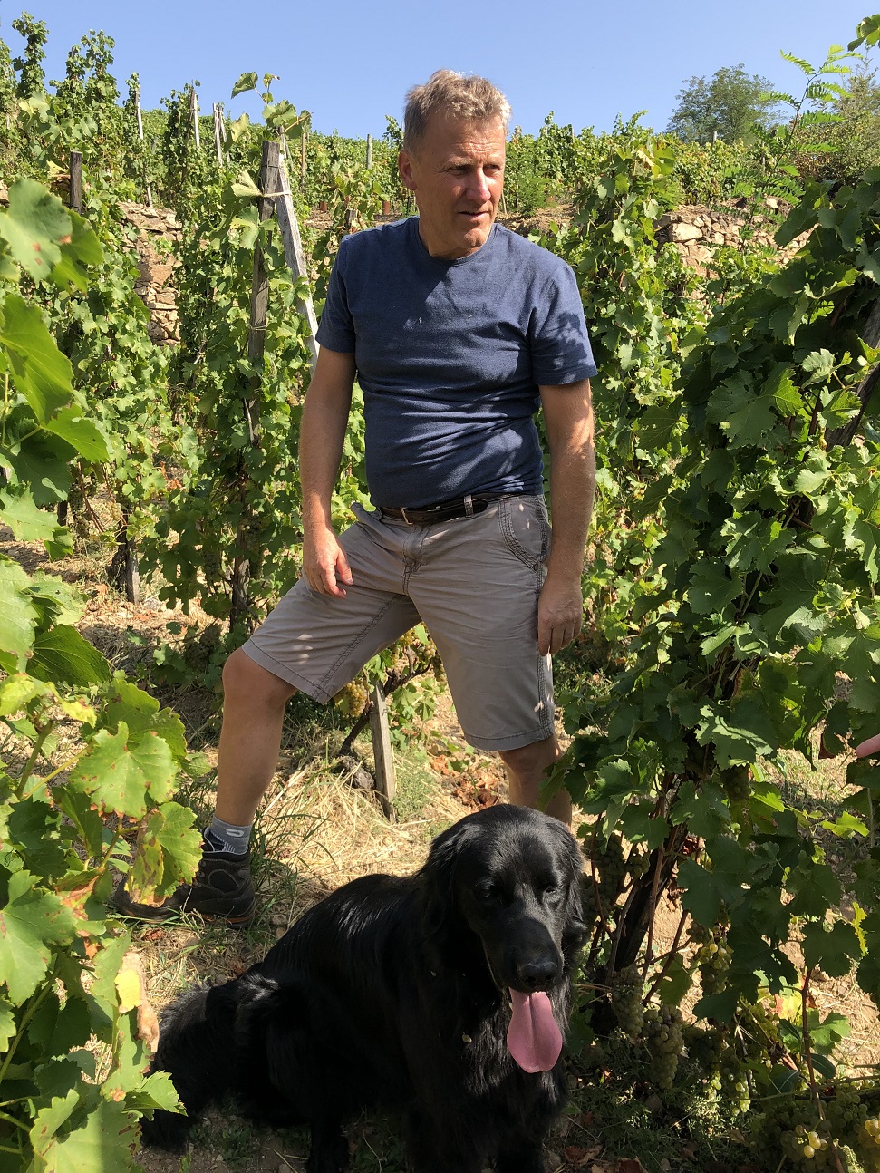 Pierre Jean Villa of Domaine Pierre Jean Villa