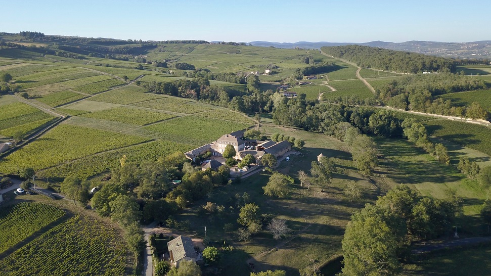 Château de Lavernette vineyards