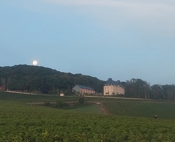 Lilbert's Butte de Sarron