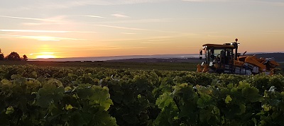 Roblin harvest