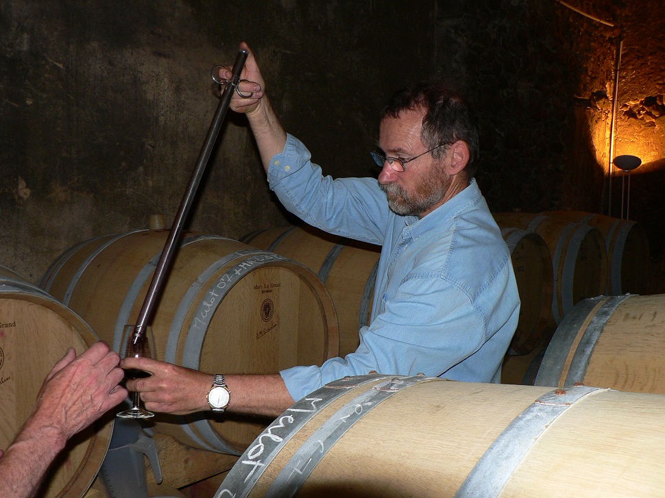 Monteberiot vines