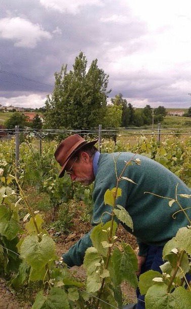 Monteberiot Gilles in the vines