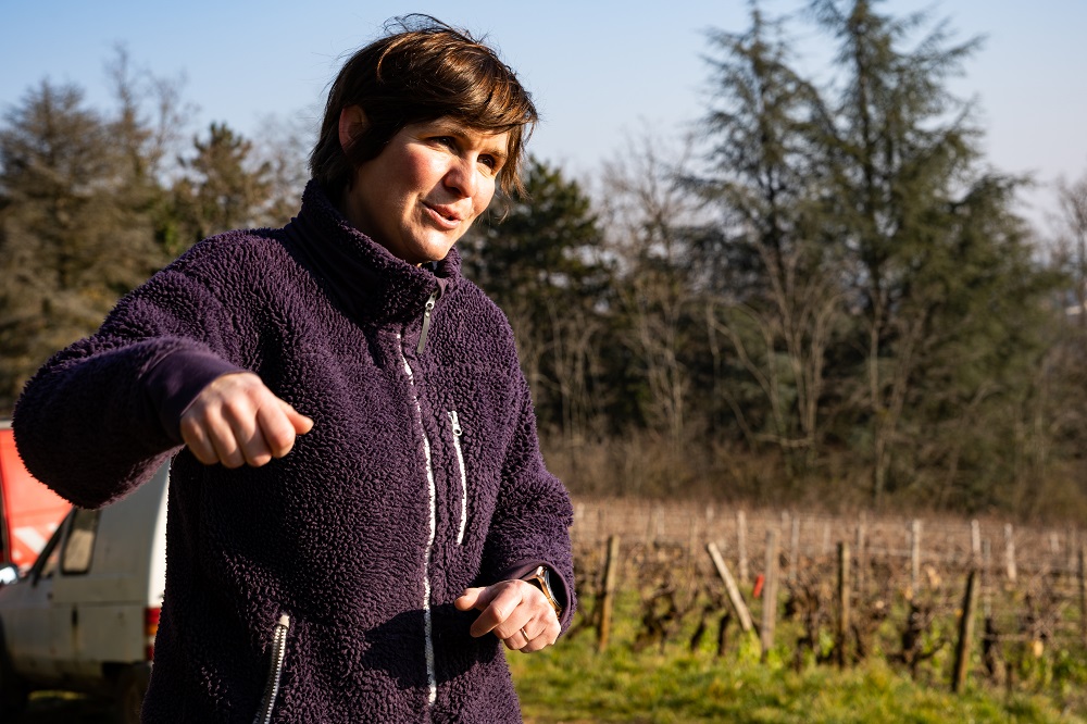 Domaine de la Folie's Clem