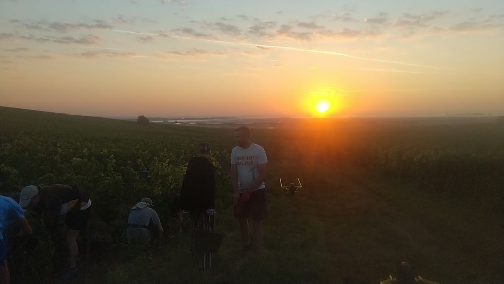 Champagne Lilbert-Fils as sun rises over Cramant