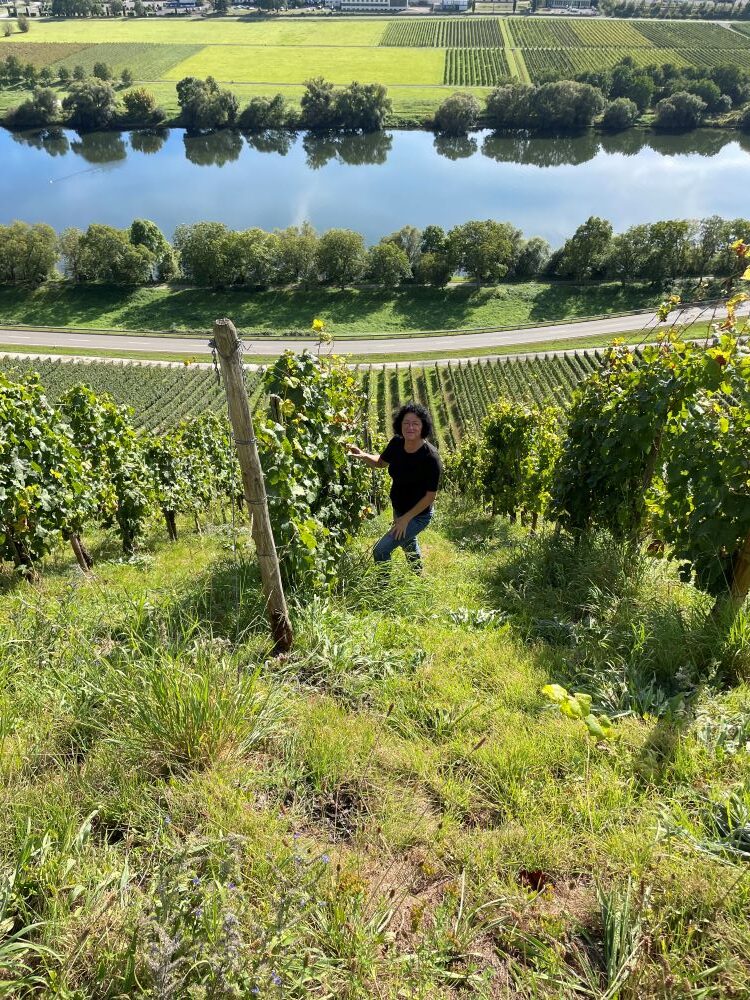 Sybille Kuntz Harvest 2023