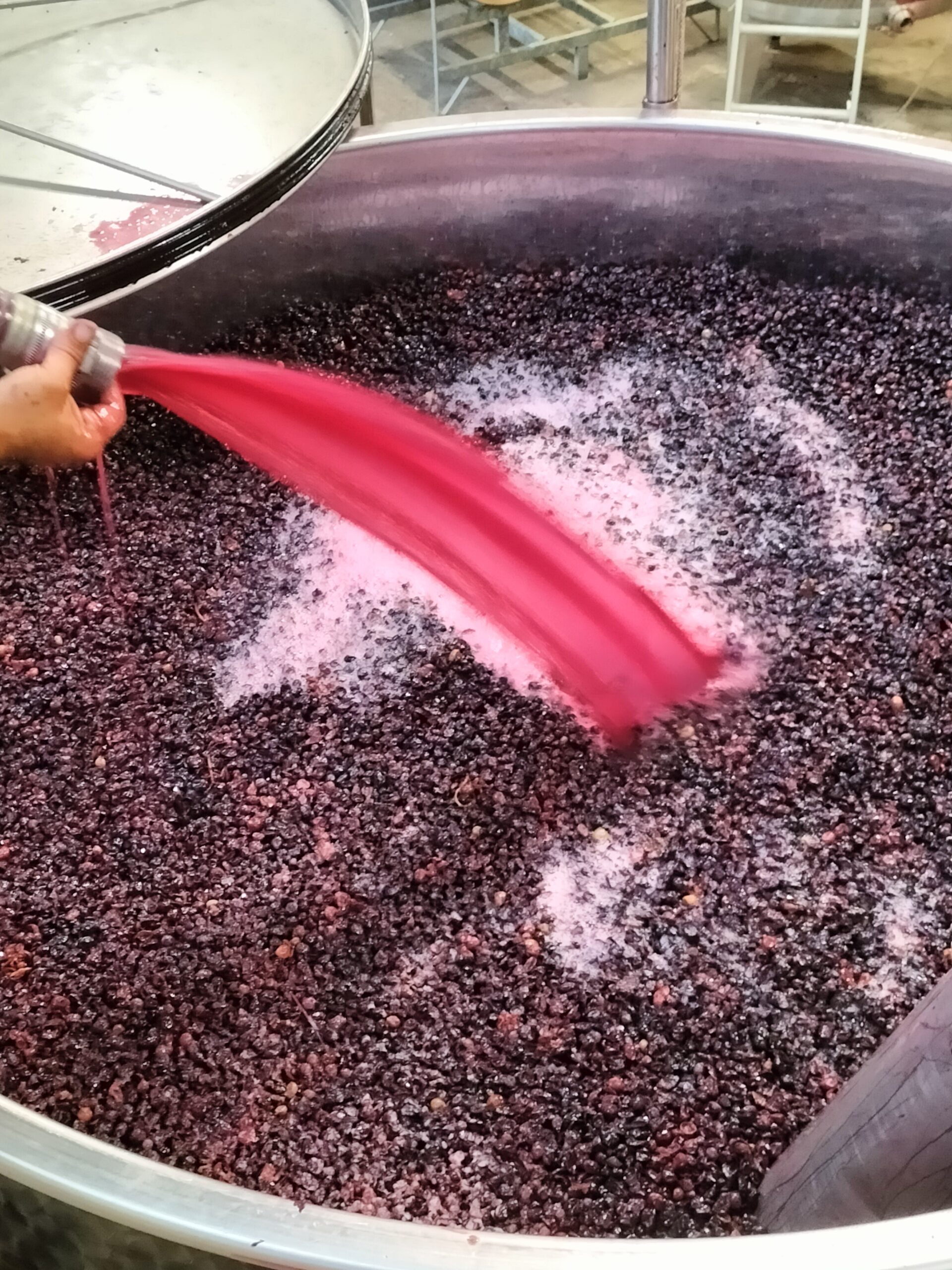 Gaelle & Jerome Meunier Harvest 2023