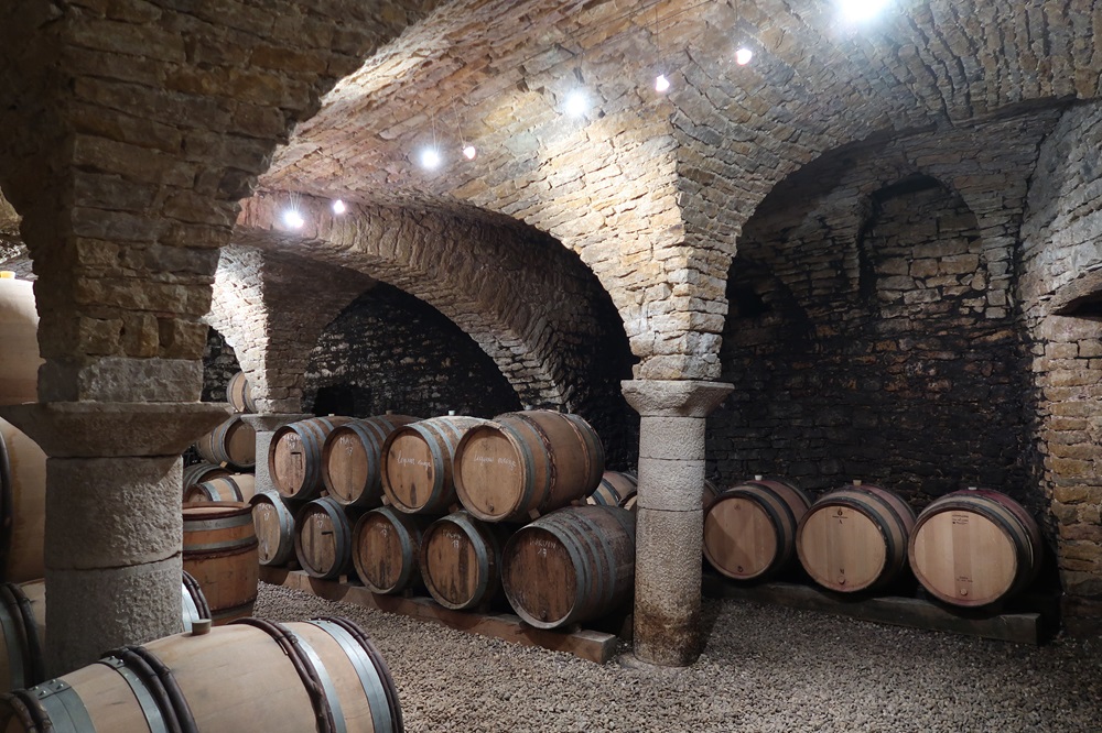 Harvest 2021 at Domaine Jean-Luc Mouillard's cellar
