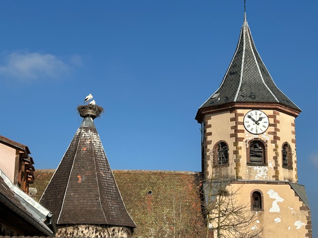 Domaine Marc Tempé storks