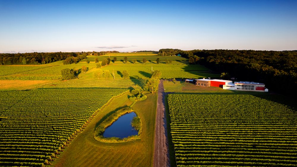 Limnad's Red Tail Ridge Vineyard