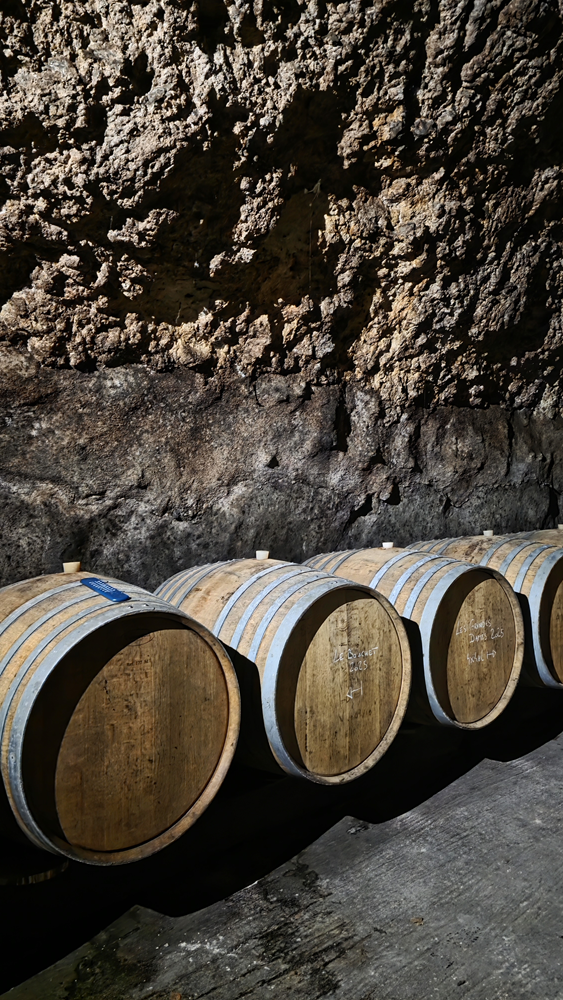 Benjamin Serer cellar