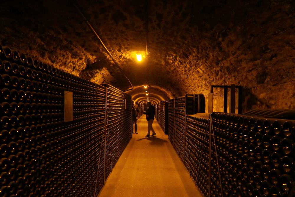 Champagne Pierre Moncuit cellar
