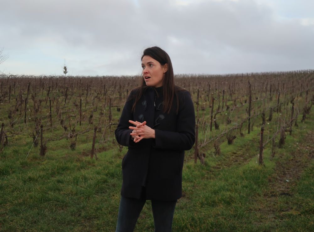 Perrine Fresne in the vines