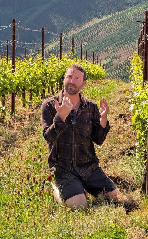 Violin's Will Hamilton in the vineyard